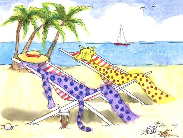 Beach-Cats