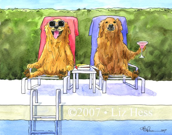 Retriever-Retreat