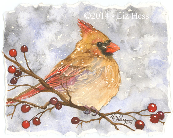Female-Cardinal