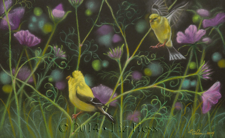 Gold-Finch-Pair