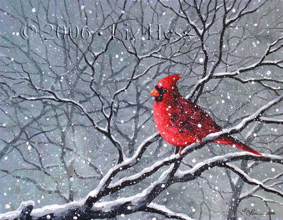 Winter-Cardinal